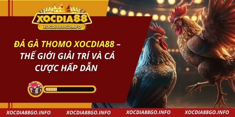 Đá Gà Thomo